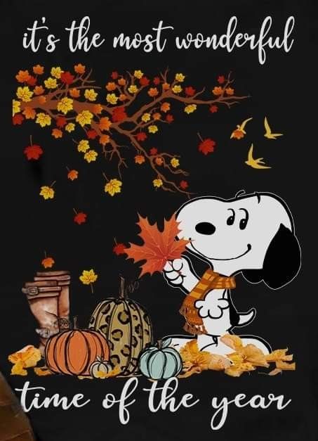 Pin by Tena Whitt on Peanuts  Snoopy pictures Snoopy wallpaper Snoopy  love