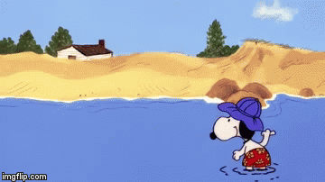 fd018cb675687e9b5884f86dc8a6373dgif 360202 in 2023  Snoopy family  Snoopy funny Snoopy comics