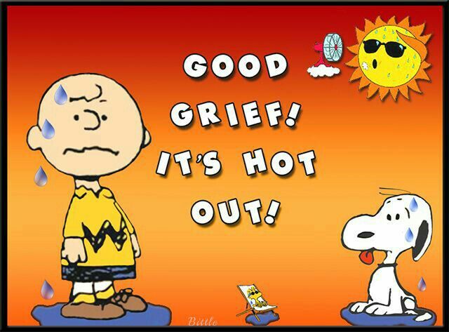 Charles Schulzs Peanuts Charlie Brown and Snoopy  Peanuts charlie brown  snoopy Charlie brown and snoopy Charlie brown peanuts