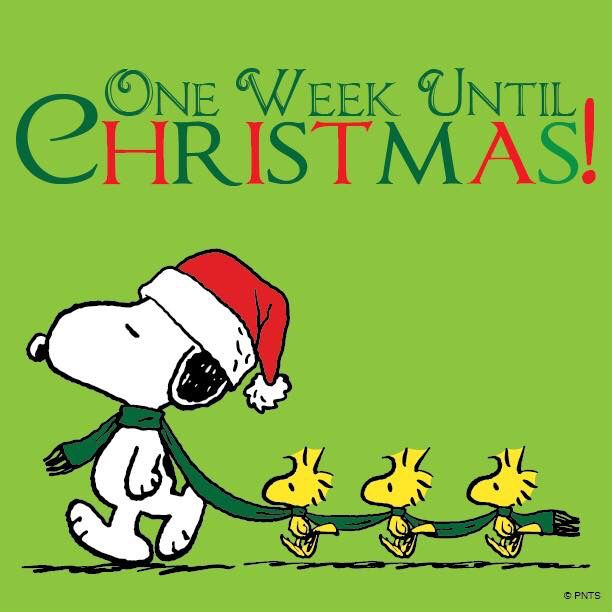 Only one week left 121814    Snoopy Snoopy christmas