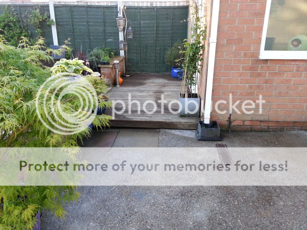 http://img.photobucket.com/albums/v642/robchester/20130604_200856_zpsf36d7182.jpg