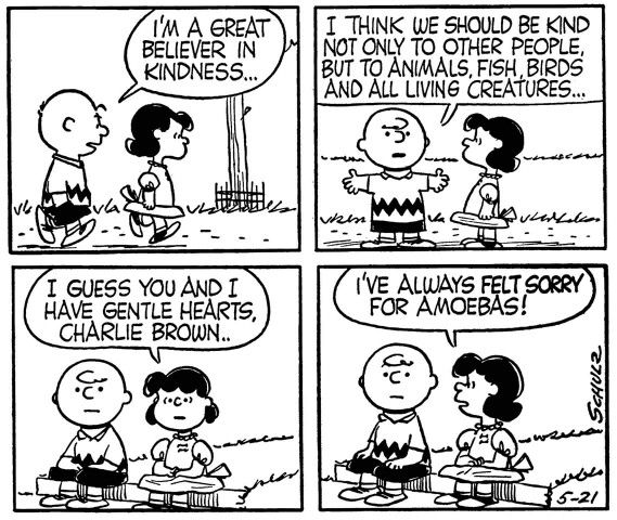 Follow me  The Gang  httpswwwpinterestcomplzmrwizard67  Snoopy  funny Charlie brown characters Lucy van pelt