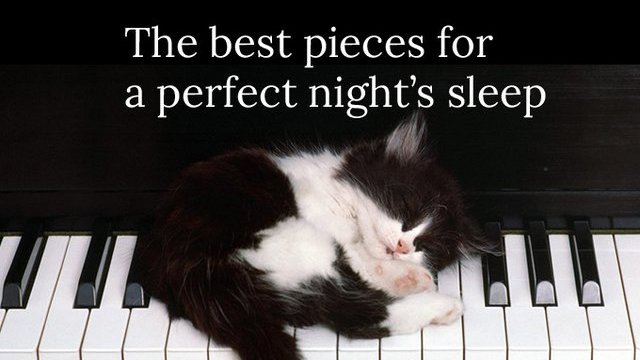 Image result for Have a nice sleep everyone
