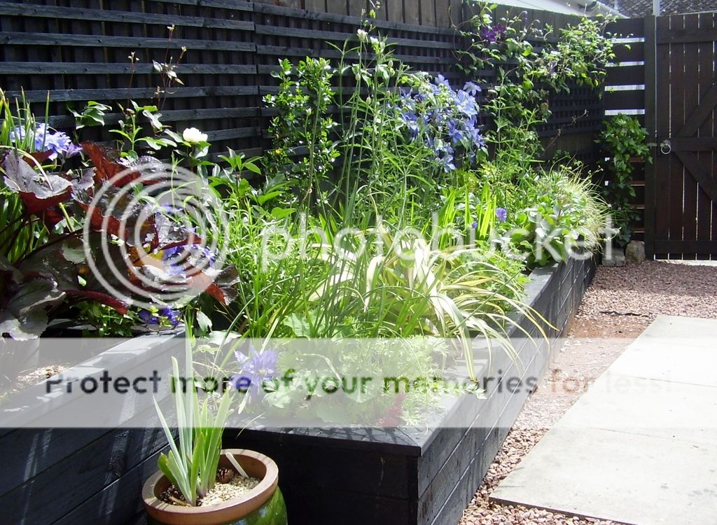 http://i1331.photobucket.com/albums/w595/fairygirl55/P6170006_zpsnkzcw3un.jpg
