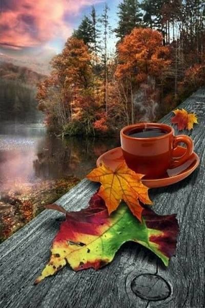 Autumn Morning  Autumn morning Autumn scenes Autumn scenery