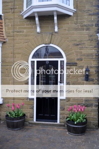 http://i232.photobucket.com/albums/ee192/thebear843/Garden/file_zps86f7a2f5.jpg