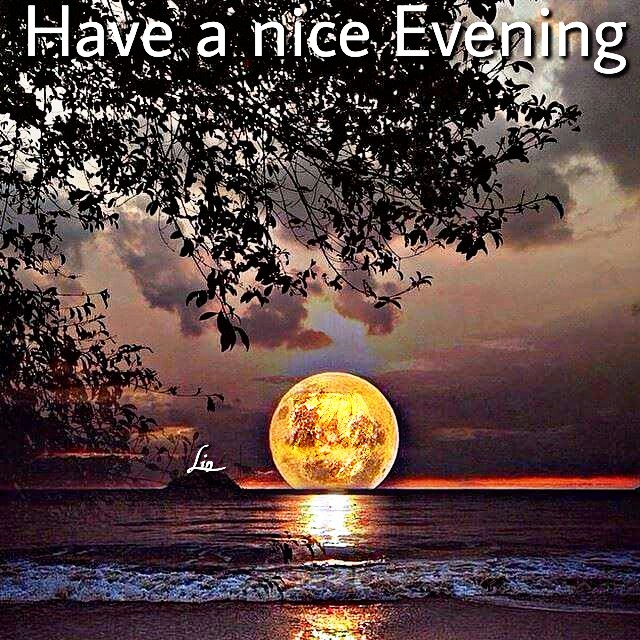 Have a nice evening everyone There is a secret hidden