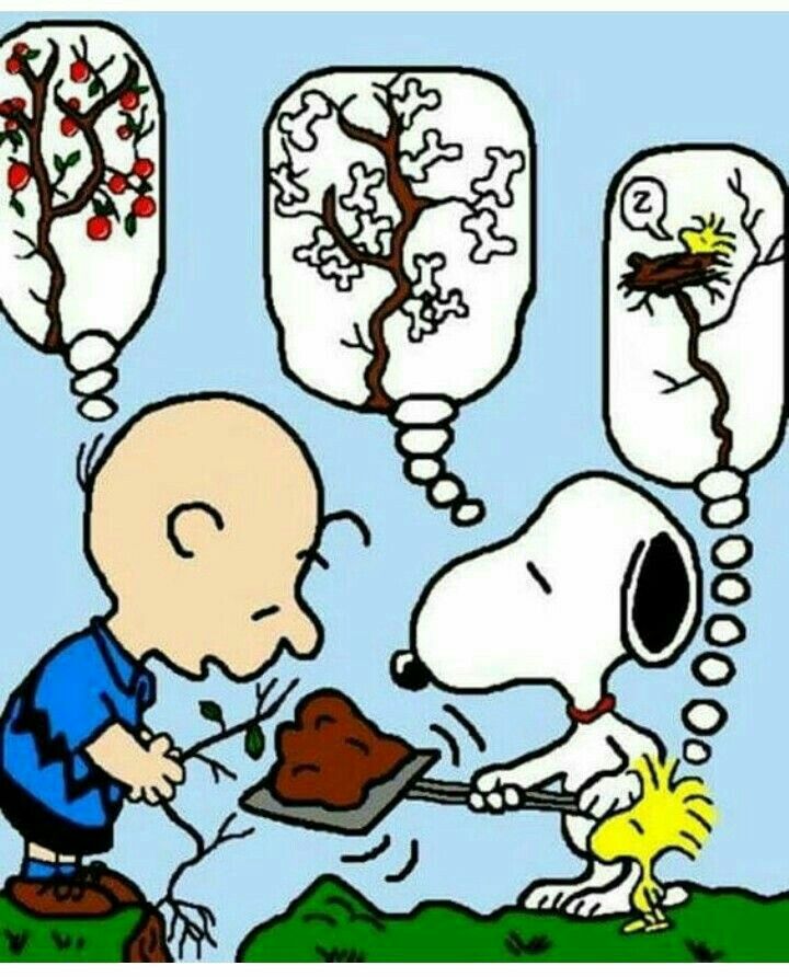 10 idee su Snoopy  Peanuts - Gardening  snoopy immagini immagini  divertenti