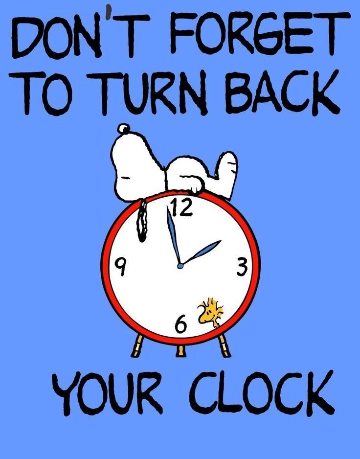 32 Daylight Savings Timezones ideas in 2021  daylight savings daylight  savings time bones funny