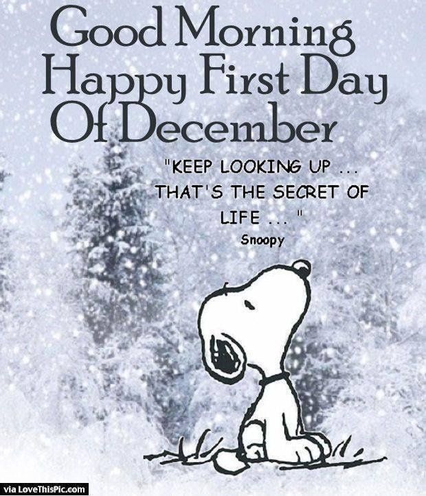 Kuvahaun tulos haulle goodbye november  Snoopy quotes December quotes  Good morning happy