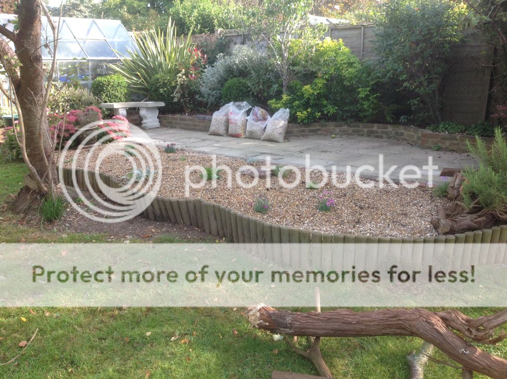 http://i1153.photobucket.com/albums/p501/Lyrad14/garden%20Sept%2014/d19dc2dee302afac30f6cb77797c712b_zps73eb2ffe.jpg