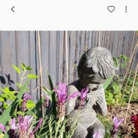 NewGardenerCornwall