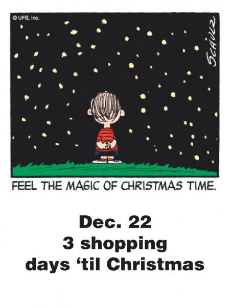 290 Best Peanuts Countdown to Christmas with Dates ideas  snoopy  christmas charlie brown and snoopy peanuts christmas