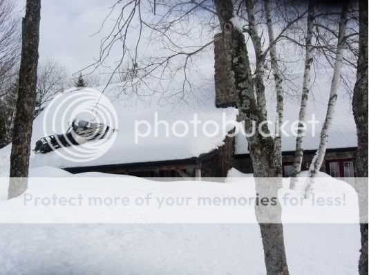 http://img.photobucket.com/albums/v11/otnorot/cid_88479BD8E7914BB29D2E462CAE31C9BEownerPC.jpg