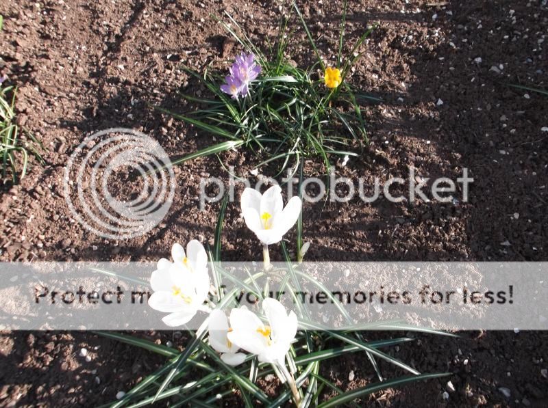 http://i20.photobucket.com/albums/b239/mattbeer87/DSCF5615_zps4fc44e9c.jpg