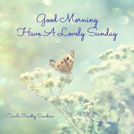 Good Morning Have A Lovely Sunday