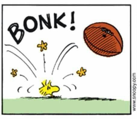 Woodstock getting hit on the head with a football  Snoopy cartoon Snoopy  love Snoopy and woodstock