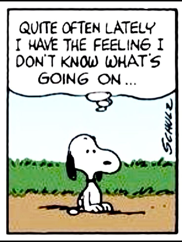 Pin by Helena Moreira on fb  Snoopy quotes Snoopy Snoopy
