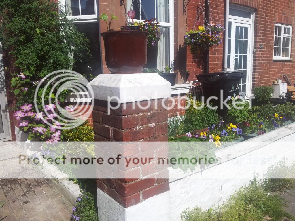 http://i1300.photobucket.com/albums/ag97/Bev_Pounsett-Krynauw/2205-06-13_zps5cba8658.jpg