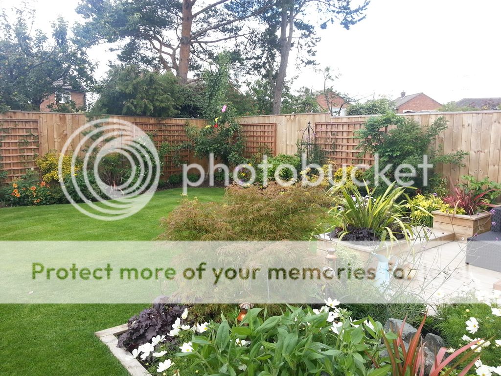 http://img.photobucket.com/albums/v642/robchester/2015-07-29%2012.17.02_zpskob8qgsd.jpeg