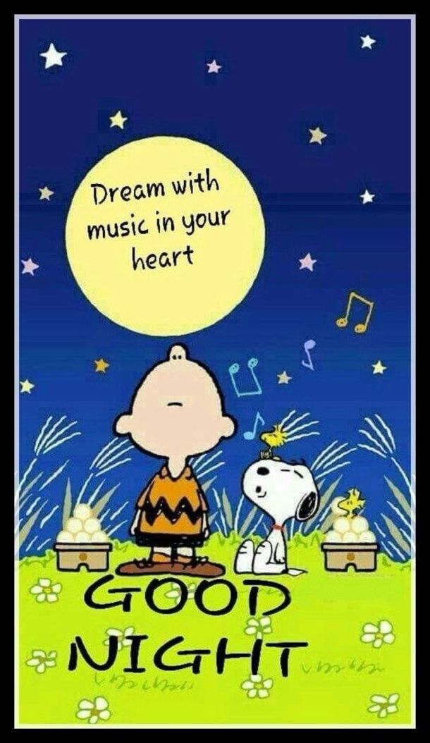 50 Best Good Night Quotes And Sayings  Funny good night quotes Funny good  morning messages Night quotes