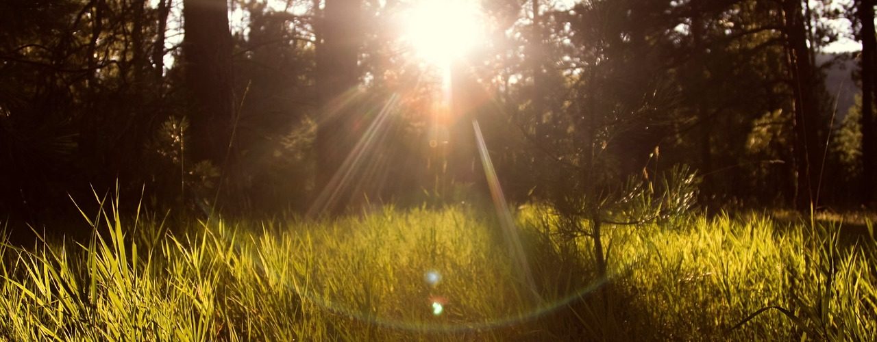60 Thursday Morning Quotes - Relish Bay