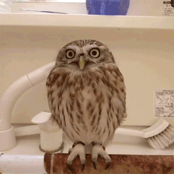Related image