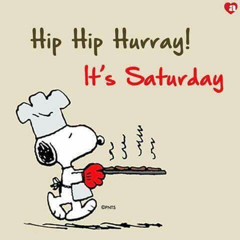 Pin by Frank Hofmann on Peanuts  Snoopy quotes Snoopy funny Snoopy images