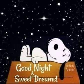 Pin by Scott Oswald on Snoopy and the Peanuts gang  Goodnight snoopy  Snoopy images Snoopy pictures