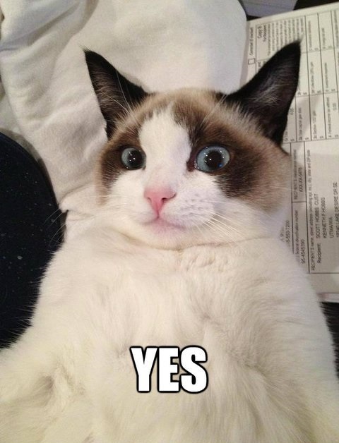 Image result for yes images funny