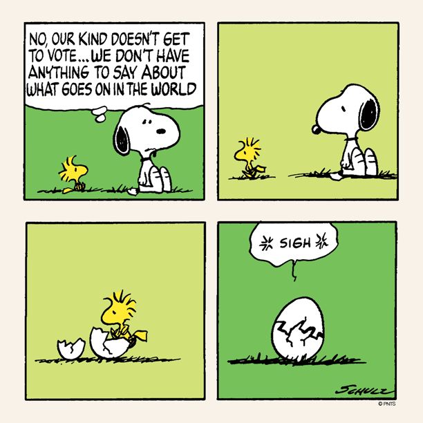 Tuesday with Snoopy and Woodstock  Snoopy cartoon Snoopy quotes Snoopy  and woodstock
