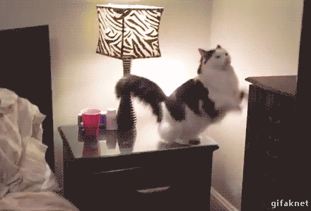 Good night everybody - GIF on Imgur