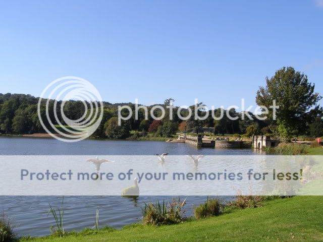 http://i27.photobucket.com/albums/c186/DavidKnapper/Trentham%20Gardens/PA050007.jpg