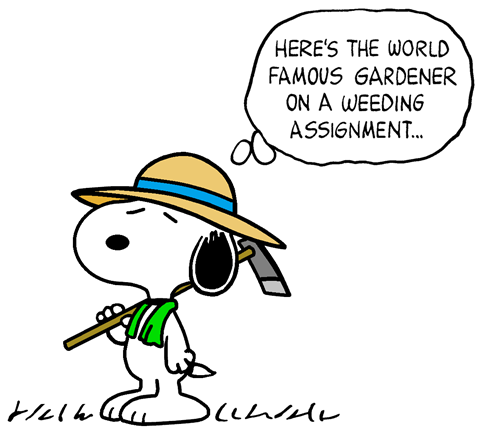 Snoopy as The World Famous Gardener  Snoopy pictures Snoopy images Snoopy