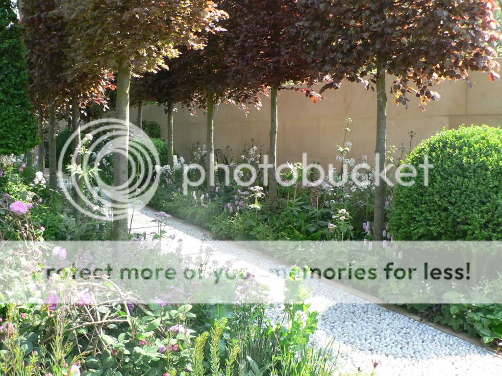 http://i211.photobucket.com/albums/bb262/Obelixx_be/1205%20Chelsea%20Flower%20Show/BG43.jpg