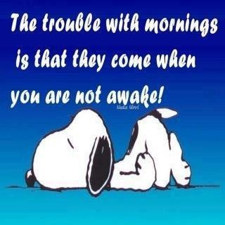Snoopy and mornings  Snoopy love Snoopy funny Charlie brown and snoopy