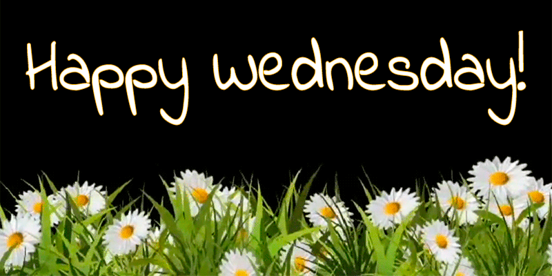 Happy Wednesday GIFs 50 Animated Images of Good Wishes