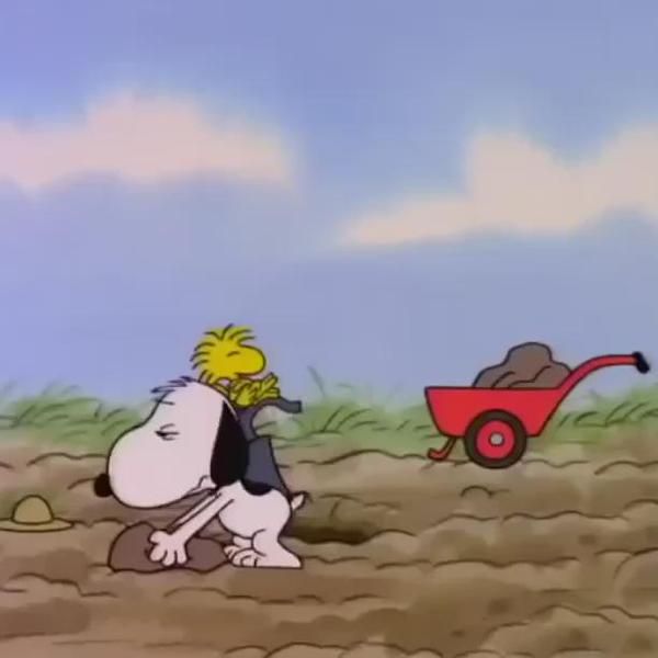 34 Popular Snoopys Garden ideas  snoopy snoopy love charlie brown and  snoopy