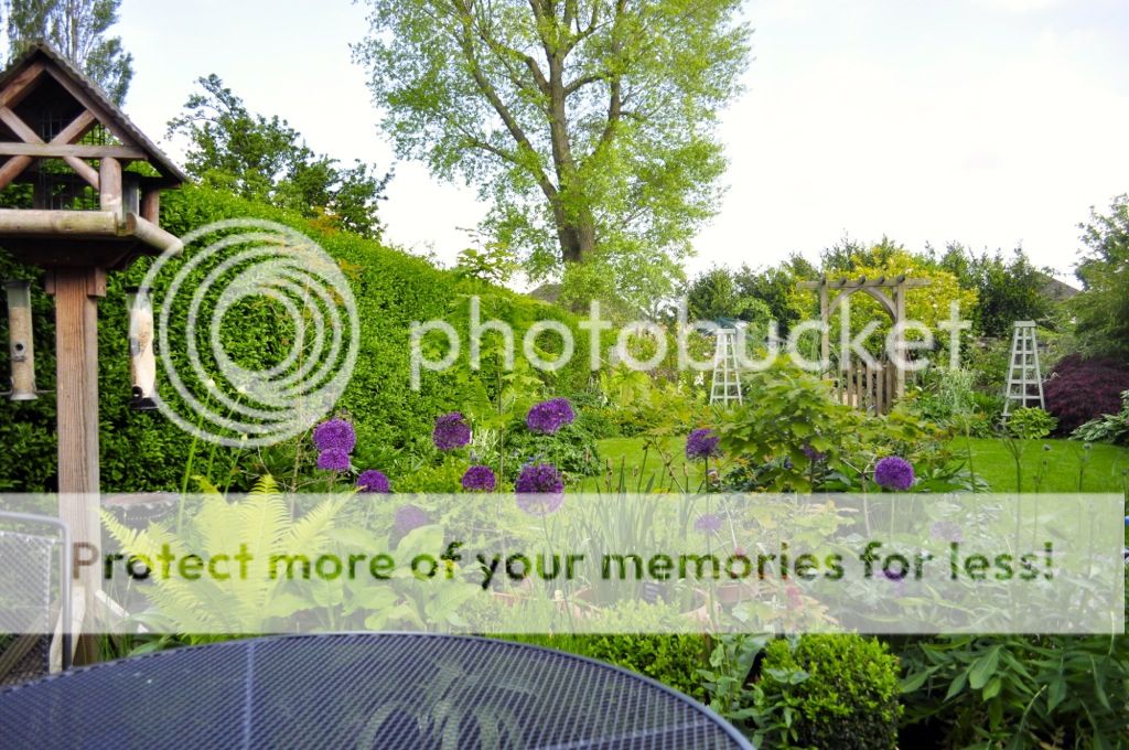 http://i232.photobucket.com/albums/ee192/thebear843/Garden/file_zps5e4162d1.jpg