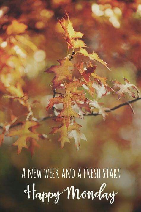Image result for Autumn Monday images