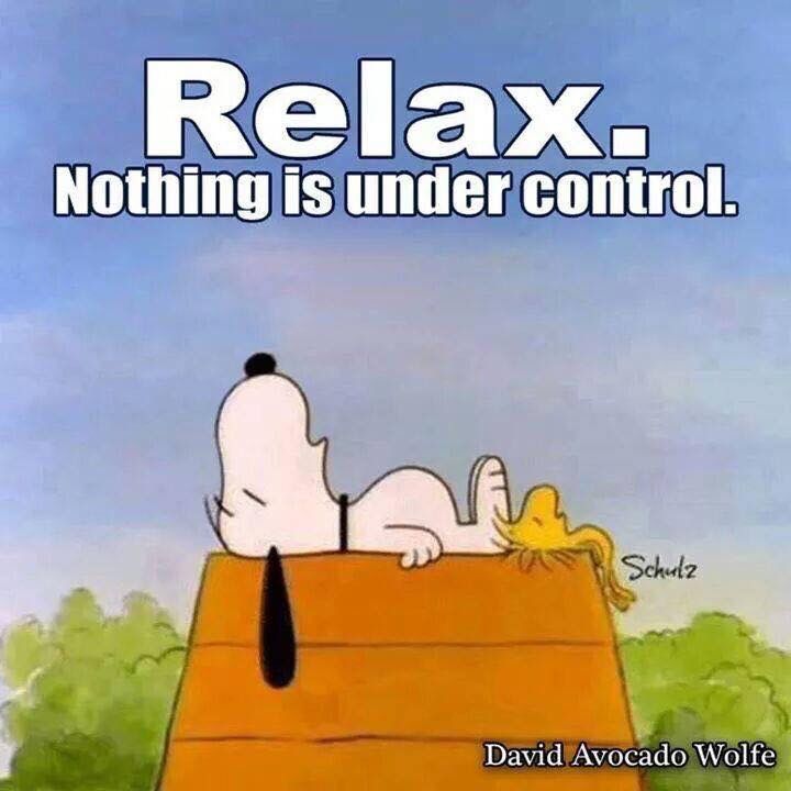 Relax nothing is under control  Snoopy quotes Snoopy images Snoopy  pictures