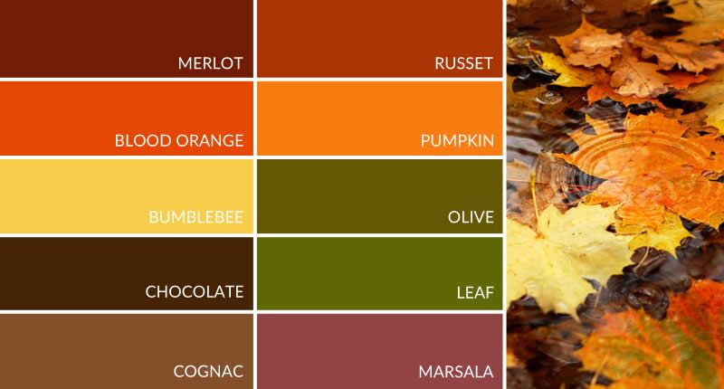 image-3jpg 800430  Fall color palette Pumpkin orange Color palette