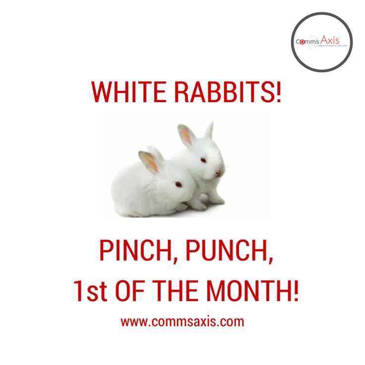 White rabbits Or as some prefer pinch punch first of the month  September already -D wwwcommsaxiscom  White rabbits Social media  Social media tips