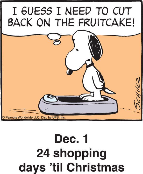 Dec 1 - This is a classic countdown panel from 2004  Snoopy funny Snoopy  cartoon Snoopy pictures