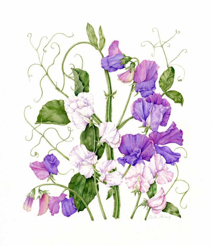 Happyflower