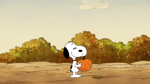 Im Having Pumpkin Pie Later Snoopy GIF - Im Having Pumpkin Pie Later Snoopy  Delicious - Discover  Share GIFs  Snoopy Peanuts cartoon Gif