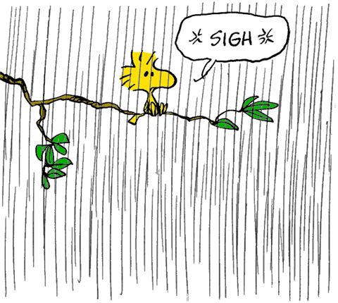 Woodstock Not Singing In The Rain  Snoopy love Snoopy and woodstock  Woodstock peanuts