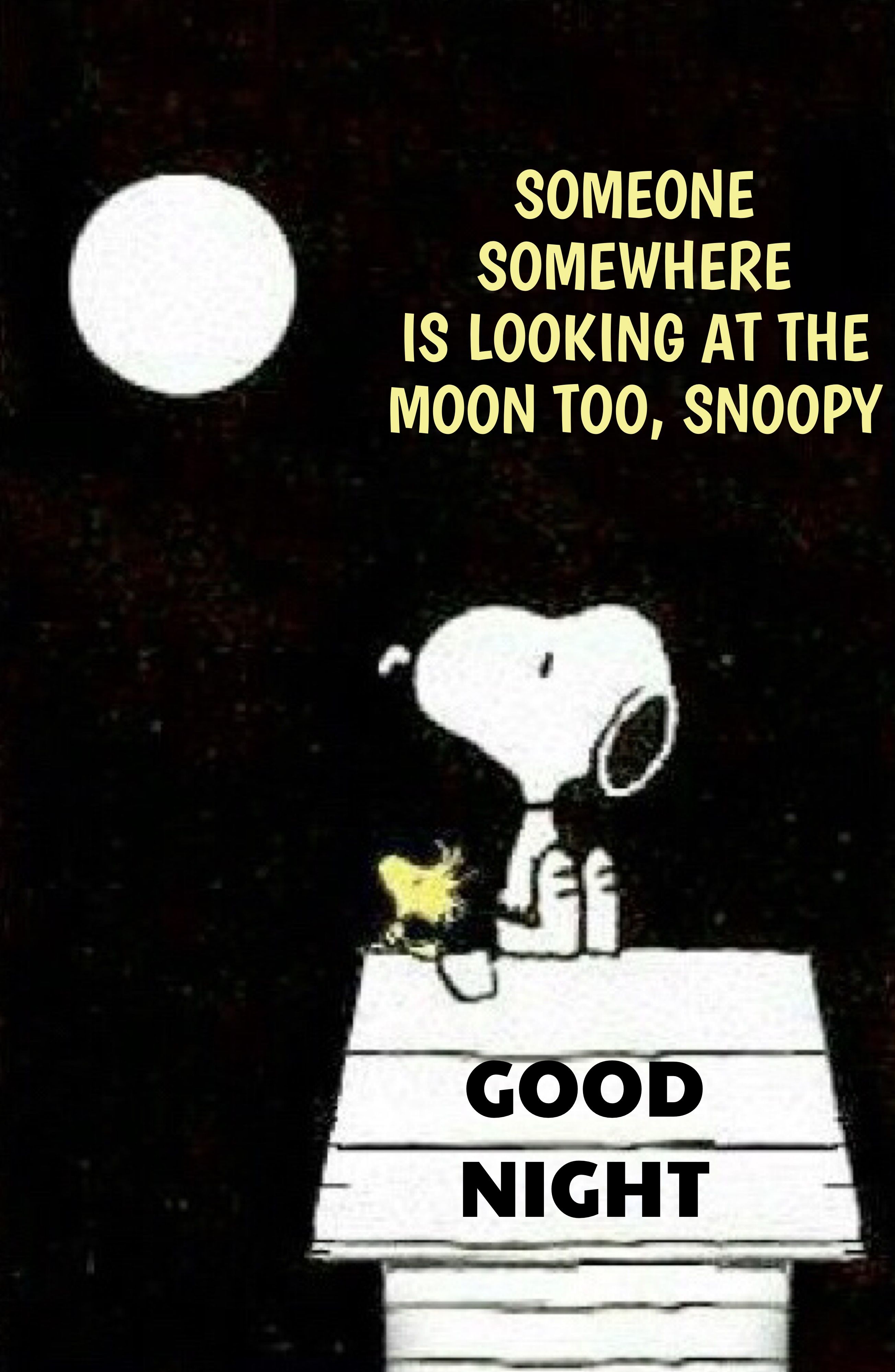 Pin by Victor Wileman on Goodnight  Snoopy funny Goodnight