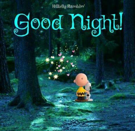 Goodnight  Goodnight snoopy Good night greetings Snoopy pictures