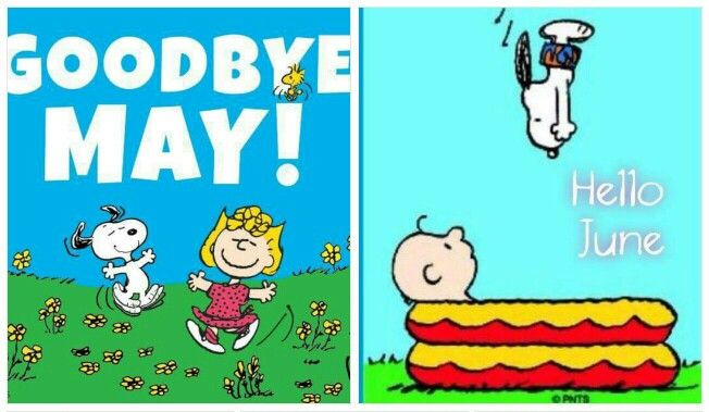 10 Goodbye May Hello June ideas  hello june goodbye hello